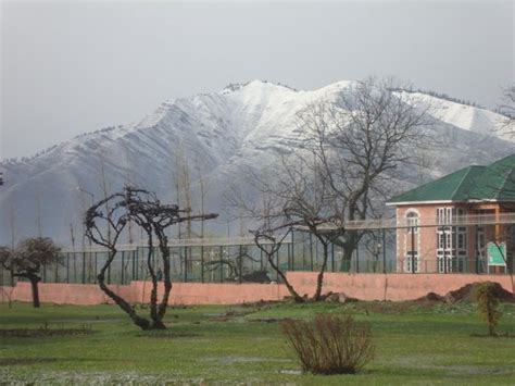 JKTDC TOURIST ESTABLISHMENT, KOKERNAG (Anantnag) - Hotel Reviews ...