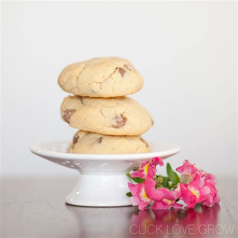 Image result for Simple Object