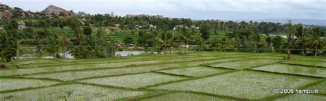 Virupapur Gadde