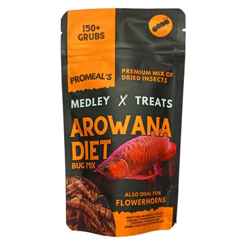 Arowana Fish | Trench Aquatics | Coimbatore
