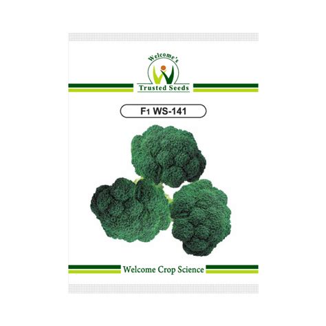 WS 141 Broccoli Seeds - Welcome Seeds | F1 Hybrid | Buy Online Now ...