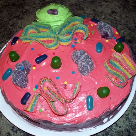 Animal Cell Project Model