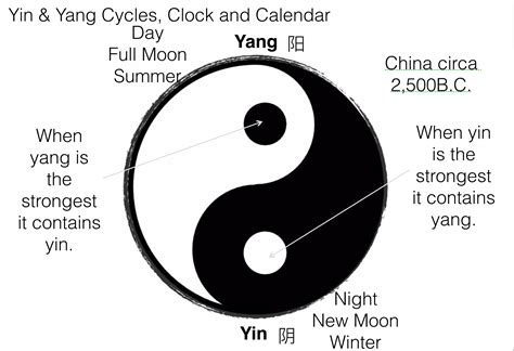 Yin Yang - Chi Energy - Holistic Therapies