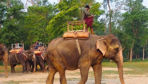 Book Boat Rides Tour in Mayabunder Island, Andaman Islands
