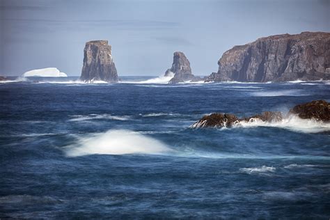 Digital View Camera 的图像结果