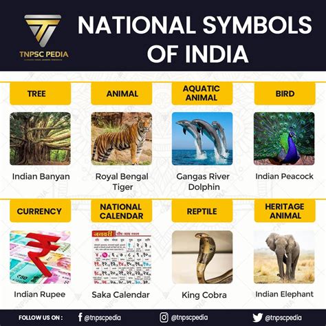 National symbols of india part 1 – Artofit