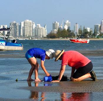 Book your Hotels with un belivable prices :Flybus