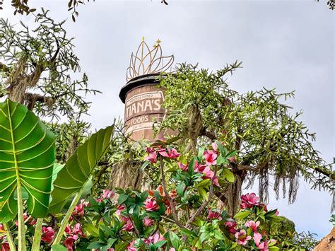Extinct EPCOT: The History of Universe of Energy - AllEars.Net