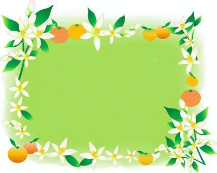 Image result for Algorithm Examples in C Language