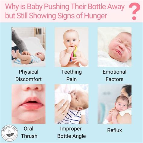 Key Signs Baby Is Hungry: What to Look For Hunger Cues