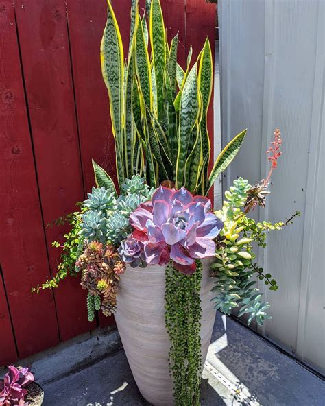 Krystle Nicole on Instagram: "It's a beautiful day to get out and play ...