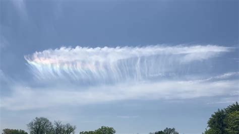 What Do Jellyfish Clouds Mean? Decoding This Rare Sky Phenomenon