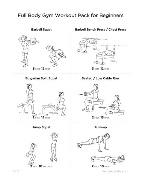 Exercise Workout Plan 的图像结果