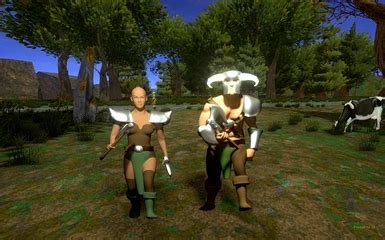 Image result for How to Install Dream Mod Daggerfall Unity