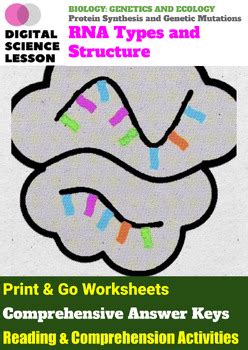 RNA Types 的图像结果
