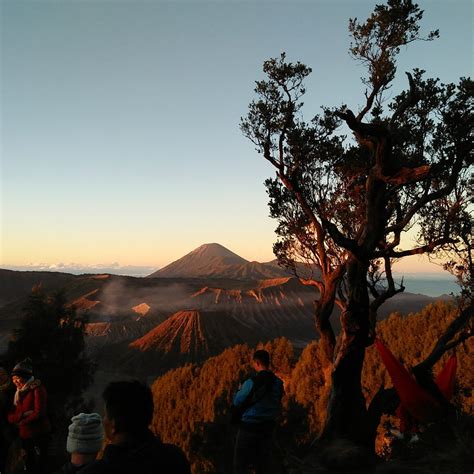 JAVA EXOTIC ADVENTURE - All You Need to Know BEFORE You Go 2026 (with ...