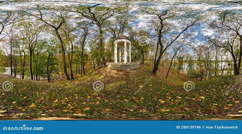 Image result for Equirectangular Forest