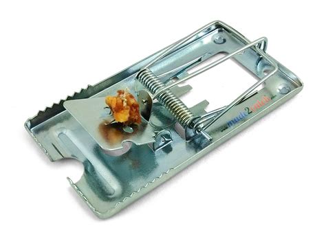 Pack Of 8 Made2catch Classic Metal Mouse Traps Fully Galvanized ...