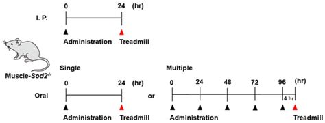 Biomedicines | Special Issue : Musculoskeletal Diseases: From Molecular ...