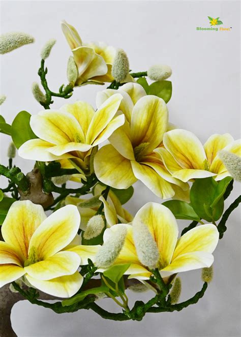 Mini Magnolia Flower Tree - Green – Blooming Floret