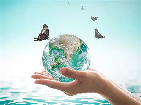 World Ocean's Day on June 8: Interesting facts to know - Interesting ...