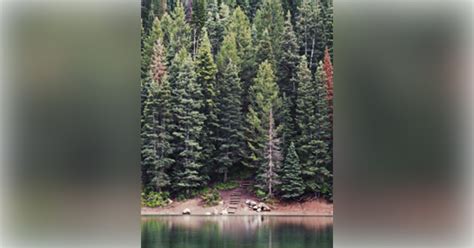 Miller Funeral Home & Crematory Somerset, Pennsylvania (PA) | Who Passed On