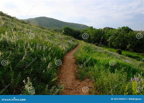 Matthews Winters Park in Golden Colorado Stock Photo - Image of ...