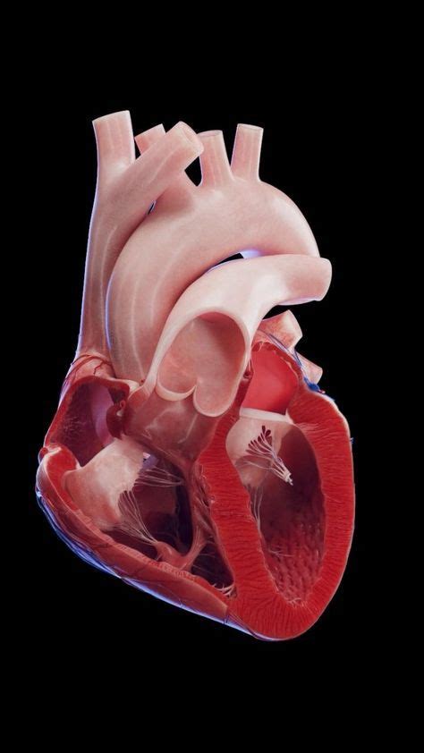 Image result for Heart with Name Using Python