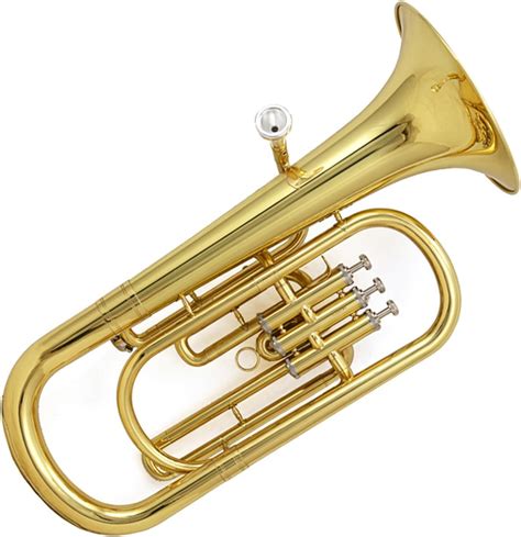 Amazon.com: Brass Lacquer Gold Three Stand Key Euphonium B Flat Horn ...
