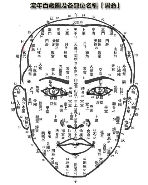 手相面相：面相十二宫福禄在脸上(图)_新浪星座_新浪网