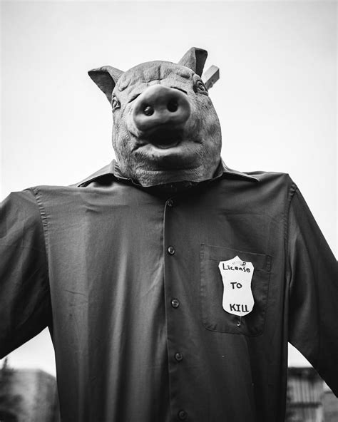The Etymology Behind Cops Being Called Pigs | by Itai Bronshtein | Lifestyle Today | Medium