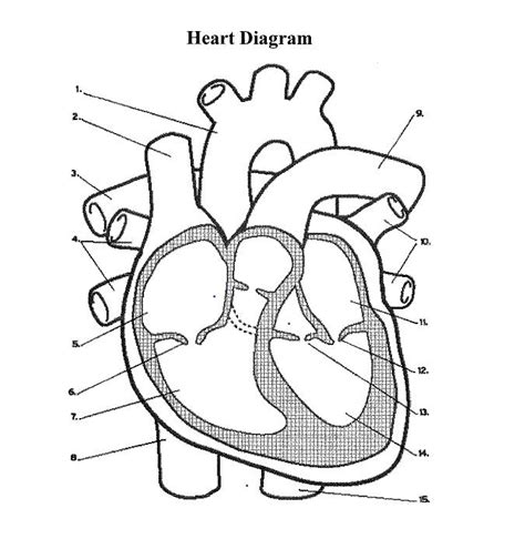 Image result for Heart Rate Sensor Raspberry Pi