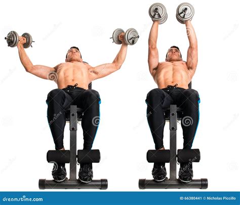 Dumbbell Chest Fly stock image. Image of active, fitness - 66380441