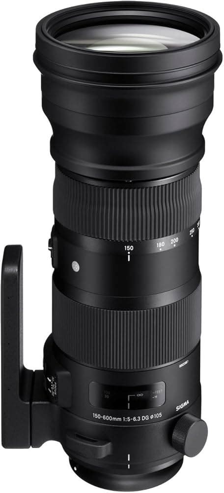 SIGMA 150-600mm F5-6.3 DG OS HSM EFマウント | www.informationdevelopers.in