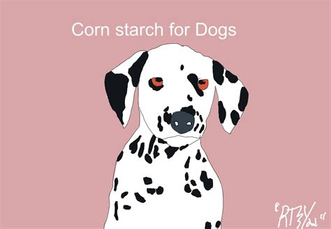 Can Dogs Have Corn Starch