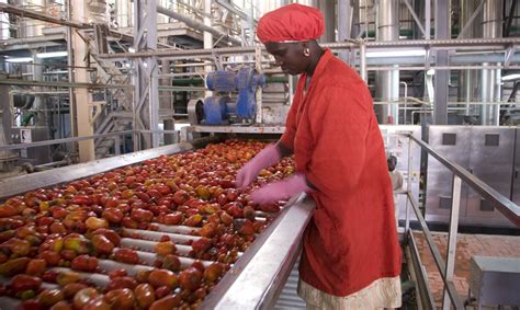 Call for Proposals in Senegal | Invest for Jobs