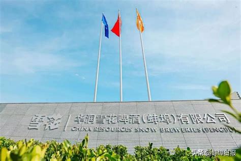 第六届安徽省花鼓灯会在蚌埠举办(组图)-搜狐新闻中心