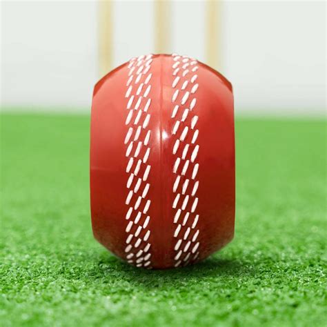 FORTRESS Technique Cricket Balls | Net World Sports