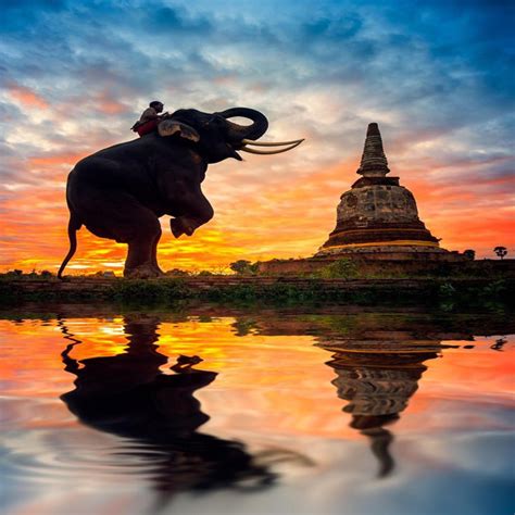 Best Thai Relax-Massage” álbum de Thai Massage Relax en Apple Music