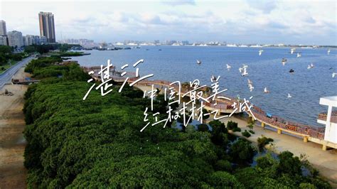 湛江的风景，每一帧都是电脑壁纸_湛江市人民政府门户网站
