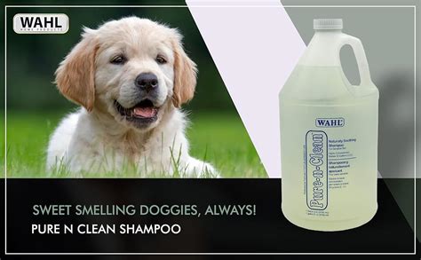 Wahl Pure N Clean Shampoo for Pets, 1 Gallon : Amazon.in: Beauty