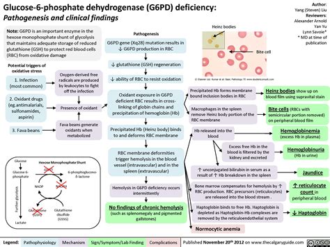 Patient Education G6pd Deficiency