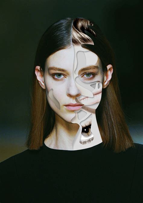 Create Collage Data Model 的图像结果