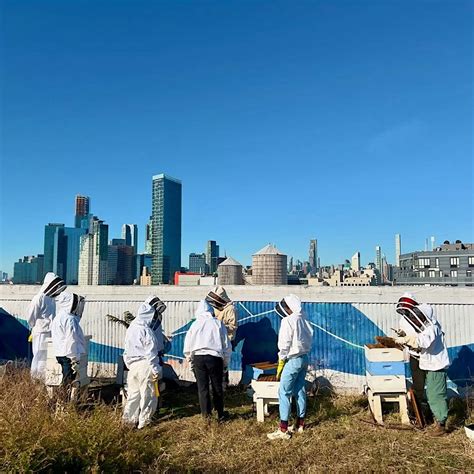 Meet the Bees Hive Tour - Queens, Sky Farm LIC by Variety Boys and ...