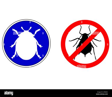 ladybug and aphid Stock Photo - Alamy