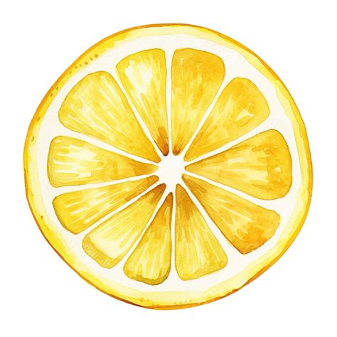 Watercolor Lemon Slice Clip Art, Watercolor, Hand, Draw PNG Transparent ...