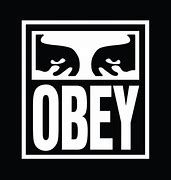 obey 的图像结果