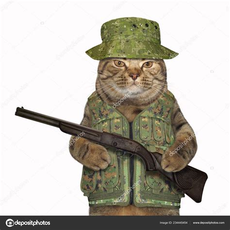 Cat In Army