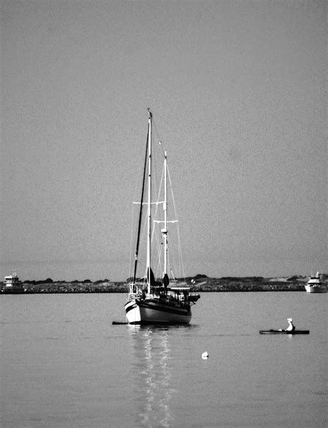 Chicken Scratch: Art – Black and White | The Review