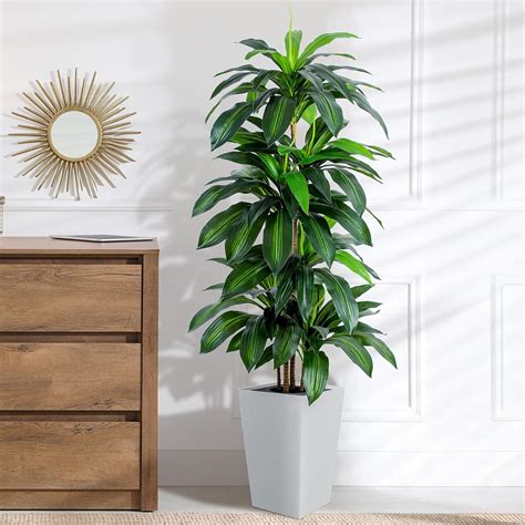 Amazon.com: Artificial Dracaena Tree with White Tall Planter, 5ft Tall ...